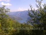 20160906_Drina_003
