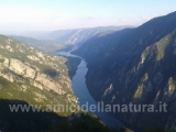 20160906_Drina_005
